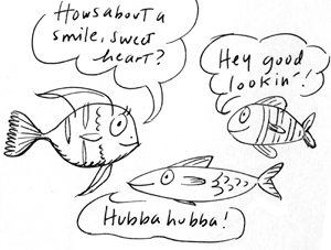Fresh Fish Fresh Fish