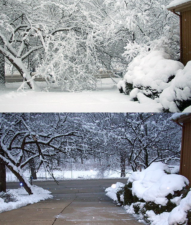 Before and After Snow