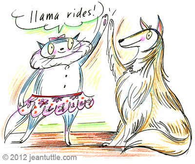 llama rides