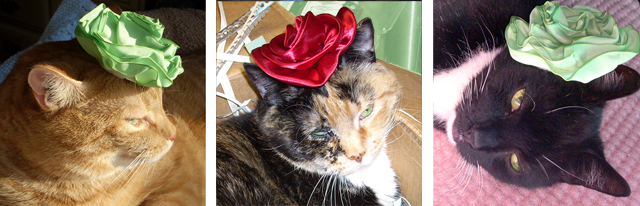 St. Patrick's Day Flower Hats