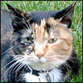 Photo of Charlotte Photo of Charlotte