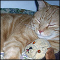 Photo of Max Photo of Max